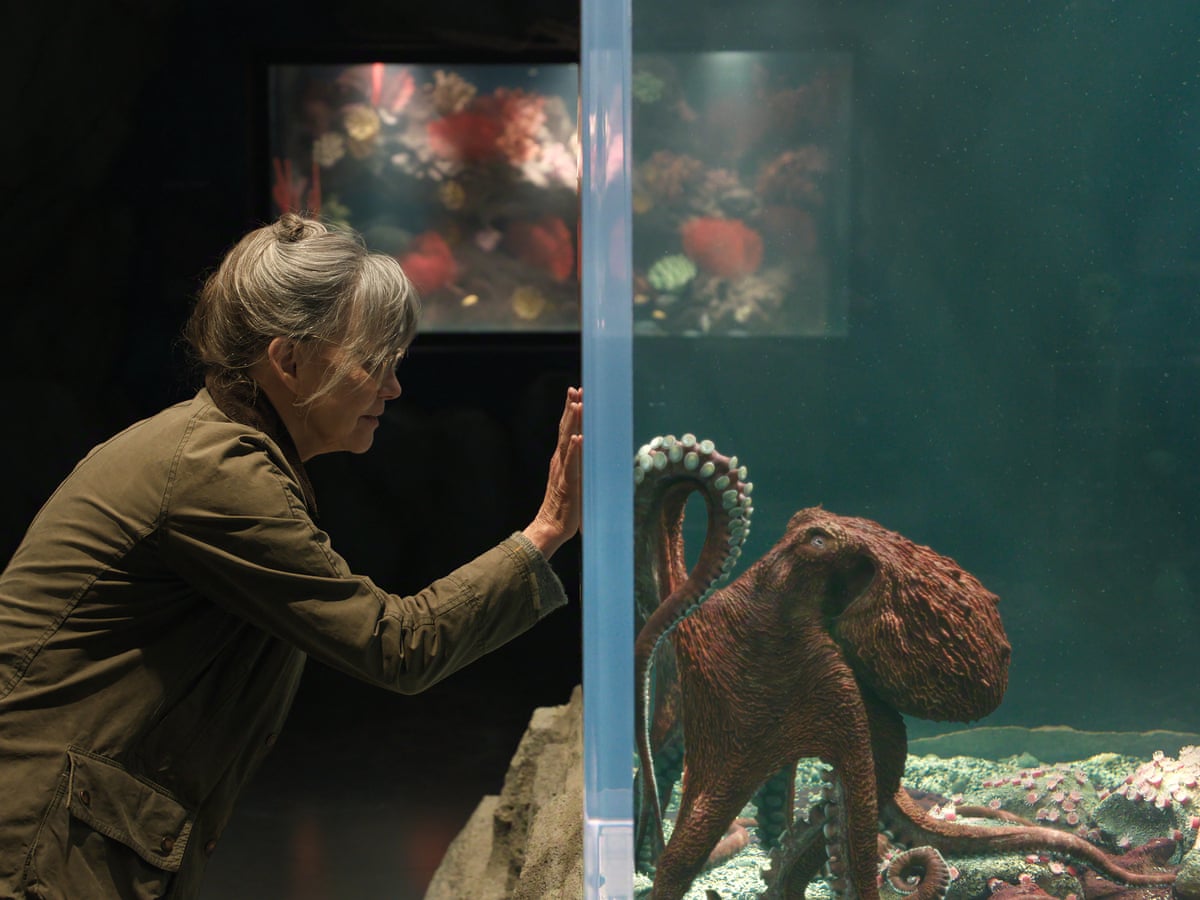 Remarkably Bright Creatures review – Sally Field bonds with octopus in gentle Netflix charmer | Sally Field | The Guardian