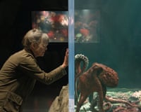 A woman touching the glass of an octopus tank