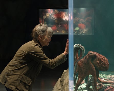 Sally Field stars as Tova in Remarkably Bright Creatures.