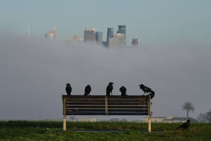 Six black birds, possibly crows or ravens, sit on the back of a park bench silhouetted against the dense pale grey fog; only the tops of the city’s skyscrapers can be seen above the fog