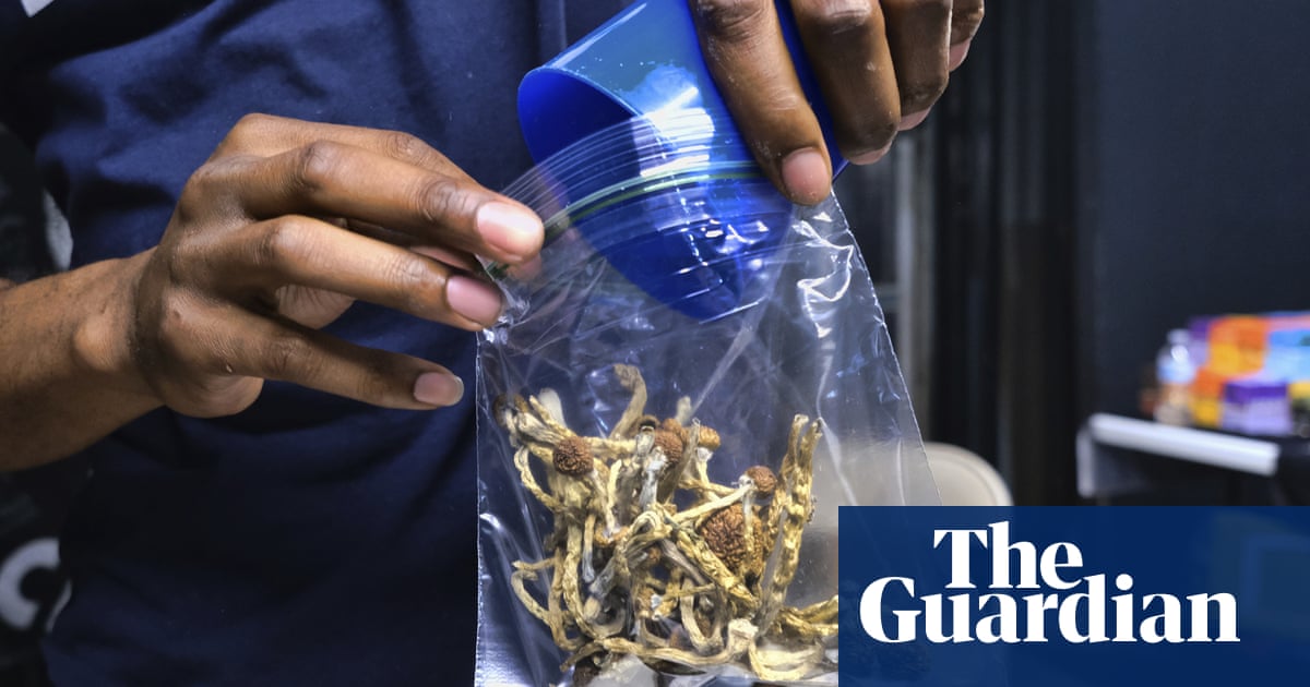 ‘These are healing plants’: Oakland decriminalizes magic mushrooms