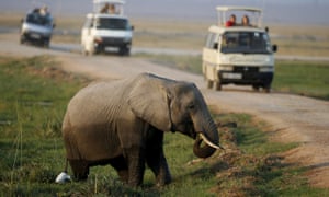 Tourists watch an elephant in Amboseli national park, Kenya. The study found that the revenue losses were higher than paying for stronger anti-poaching measures.