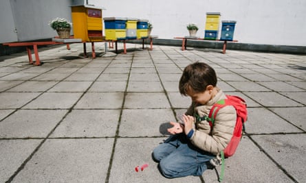 A boy inspects a bee in front of beehives on the roof of Cankarjev dom cultural and congress center in Ljubljana, Slovenia, during a guided tour by urban beekeeper Franc Petrovcic on April 20, 2017.