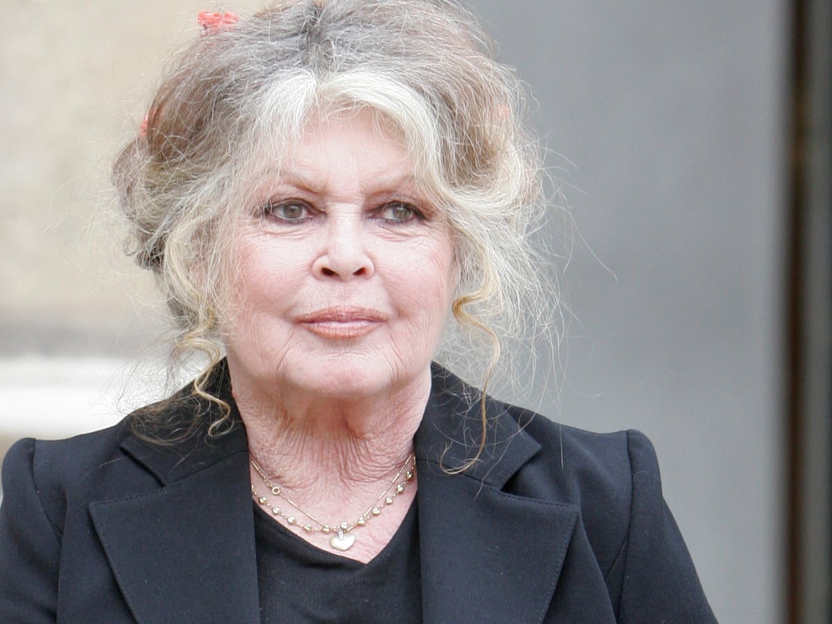 I know what it feels like to be hunted': Brigitte Bardot on life in the spotlight | Brigitte Bardot | The Guardian