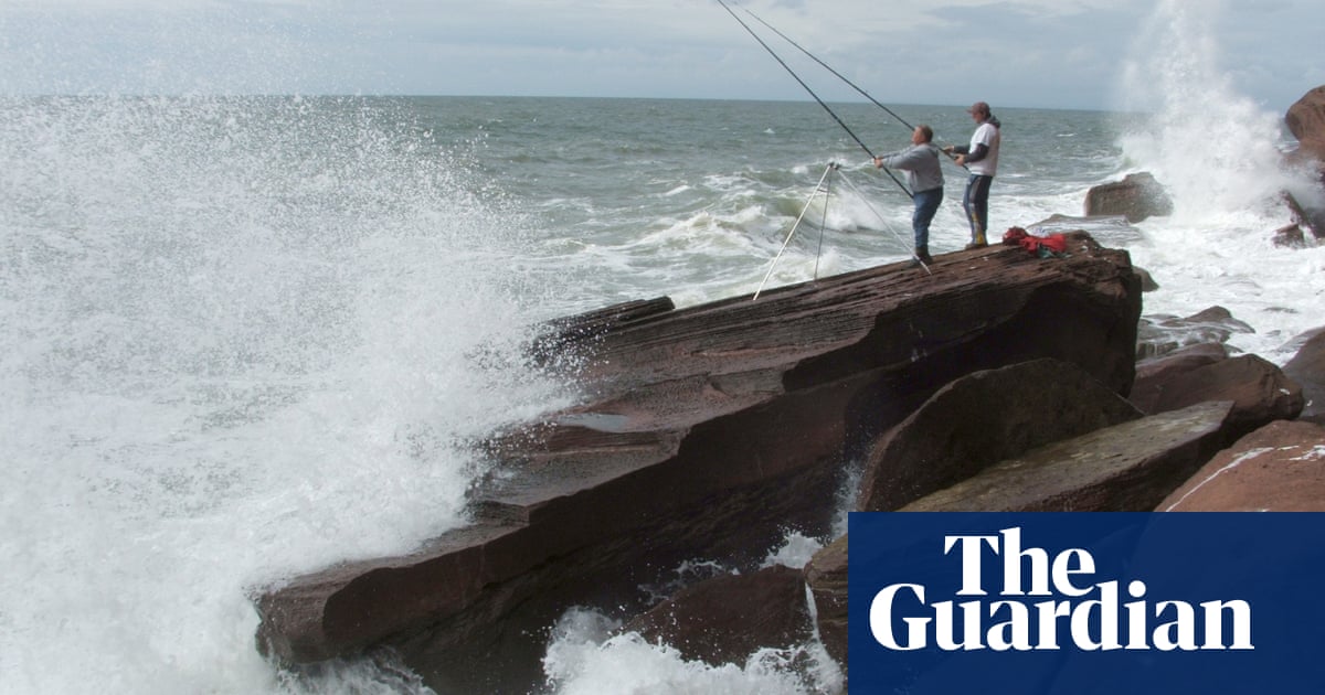 All Birds And Bluster On The Headland Environment The Guardian