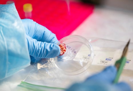 Лабораторное тестирование CDC