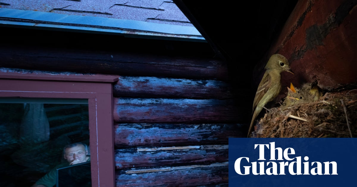 Wildlife photographer of the year 2020 winners – in pictures | Art and