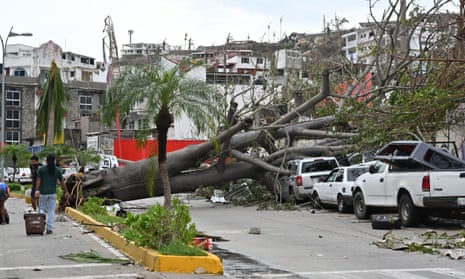 A large fallen tree lies across a road and on top of a vehicle in Acapulco