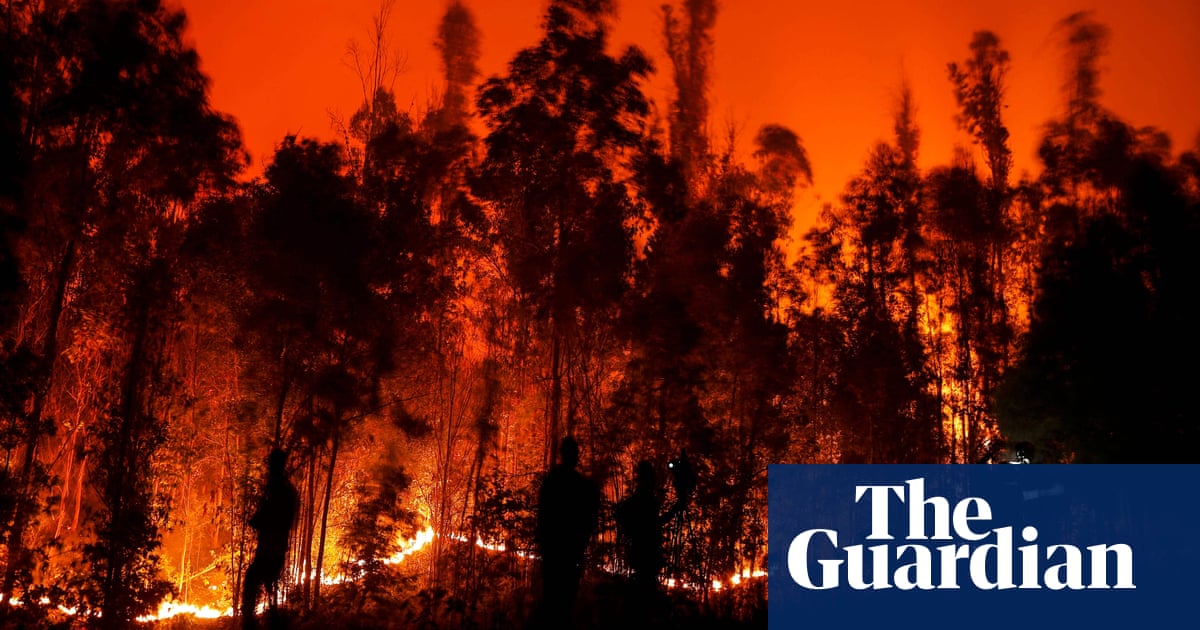 Chile wildfires kill at least 23 people as state of emergency extended further - The Guardian