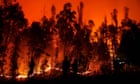 Chile wildfires kill at least 23 people as state of emergency extended further