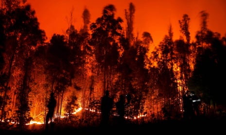 People fight a wildfire in Chile’s Araucanía region, where a state of emergency has been declared