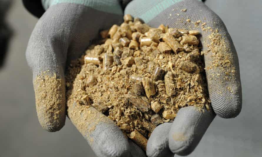 Biomass pellets at Drax power station, North Yorkshire.