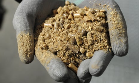 Biomass fuel