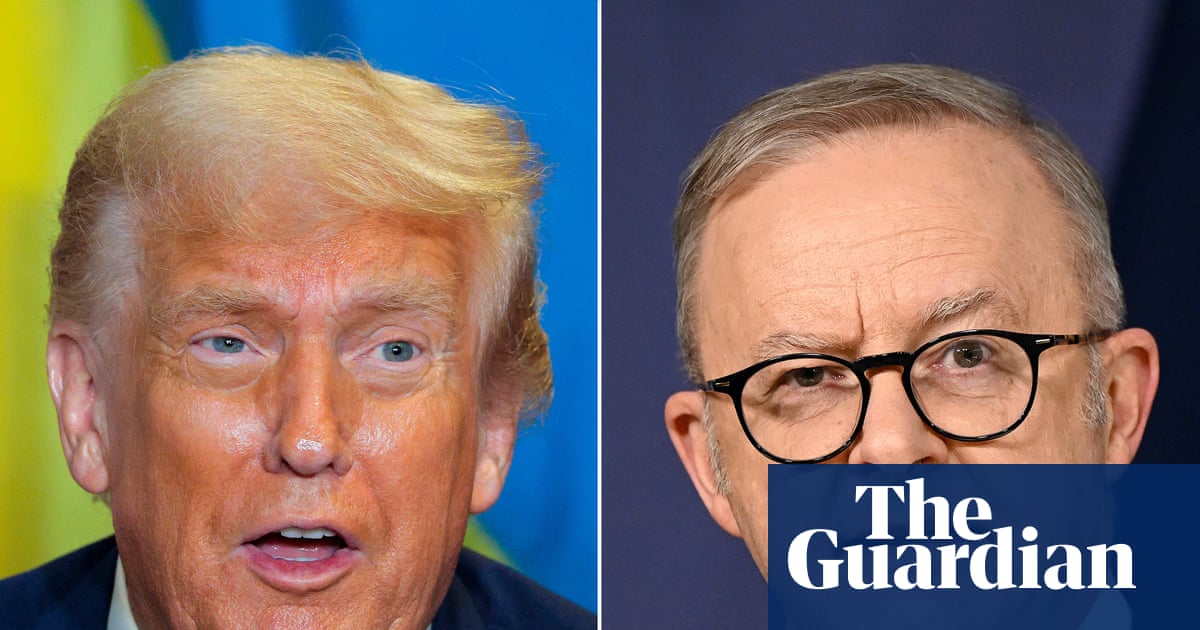 Albanese considers Trump’s invitation to join Gaza ‘board of peace’ despite concerns body may undermine UN