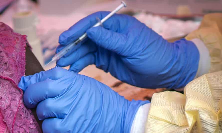 The WHO has described itself as ‘heartbroken’ by the ‘harrowing reading’ of an independent inquiry that found workers allegedly sexually abused women and girls during the Ebola outbreak.