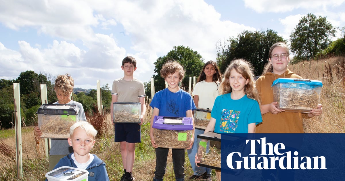 ‘I’m proud of them going out into the world’: Young naturalists on their quest to save harvest mice