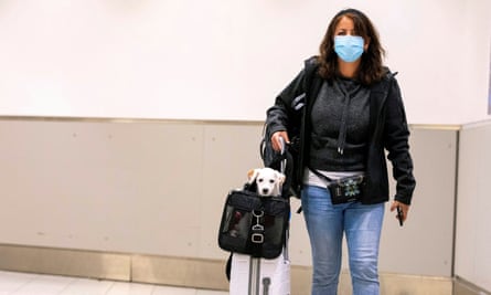 A woman carries her dog as she walks through an airport