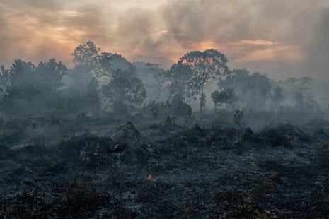 Fire burns peatland and fields in Riau, Indonesia.
