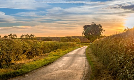 Hedgerows in the Lincolnshire countryside near the small village of Aslackby