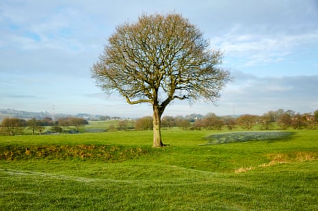 Oak tree in Greenmount, Greater Manchester 24 February 2016