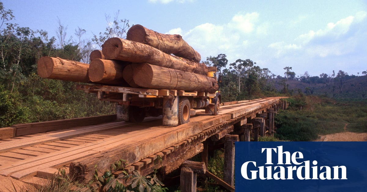 Human activity and drought ‘degrading more than a third of Amazon rainforest’