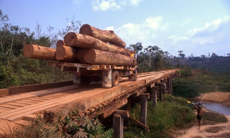 Logging in the Amazon