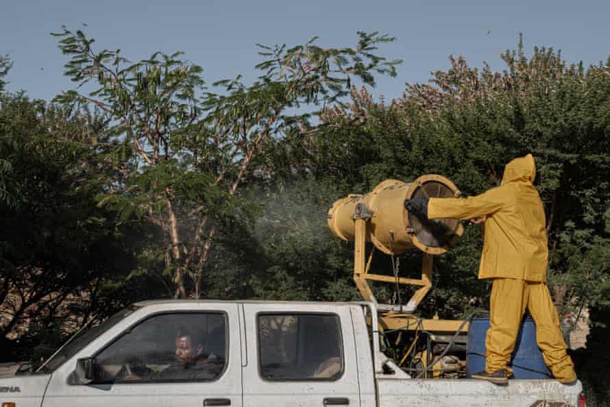 There are fears that in Tigray efforts to combat the locusts, such as spraying chemicals and pesticides, will be hampered by the conflict there.