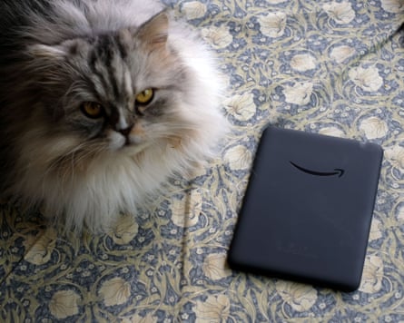 A fluffy grey and white cat sits beside a black Kindle e-reader on floral fabric