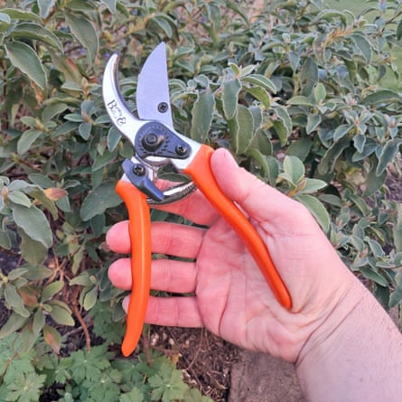 Burgon and Ball bypass Secateurs copy