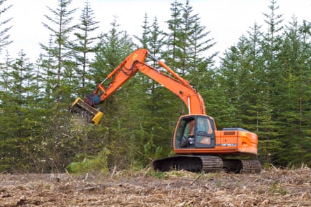 Land managers use heavy equipment to remove spruce and pine trees from the Forsinard Flows Reserve in an effort to restore the bog ecosystem