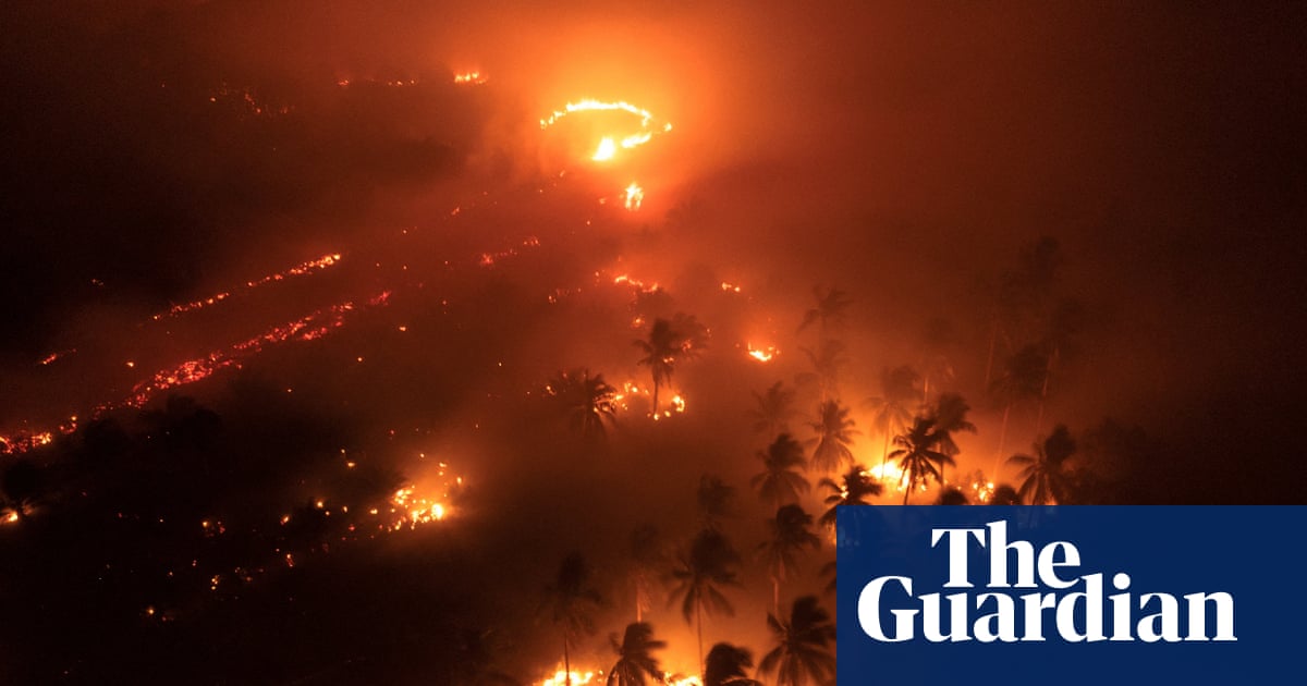 'The physical toll is visceral': How Indonesia's fire haze affects millions - visual guide