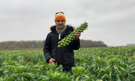 Exhausting … a day in the sprout fields.