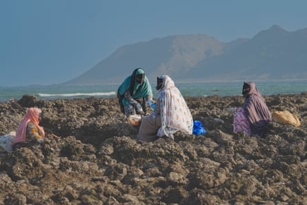 Quatro pescadoras beduínas sentam-se juntas para colher caracóis marinhos na Ilha Masirah, a maior ilha de Omã, em outubro. A pesca artesanal de invertebrados e gastrópodes é vista como uma fonte vital de renda.