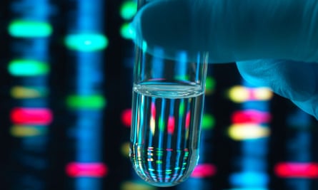 Scientists quash idea of single 'gay gene' | Genetics | The Guardian