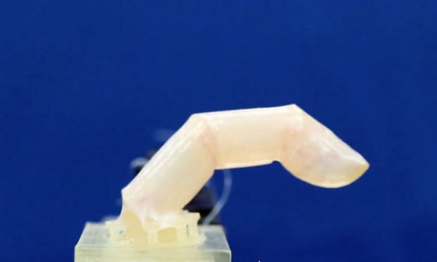 A bending robotic finger covered in living skin