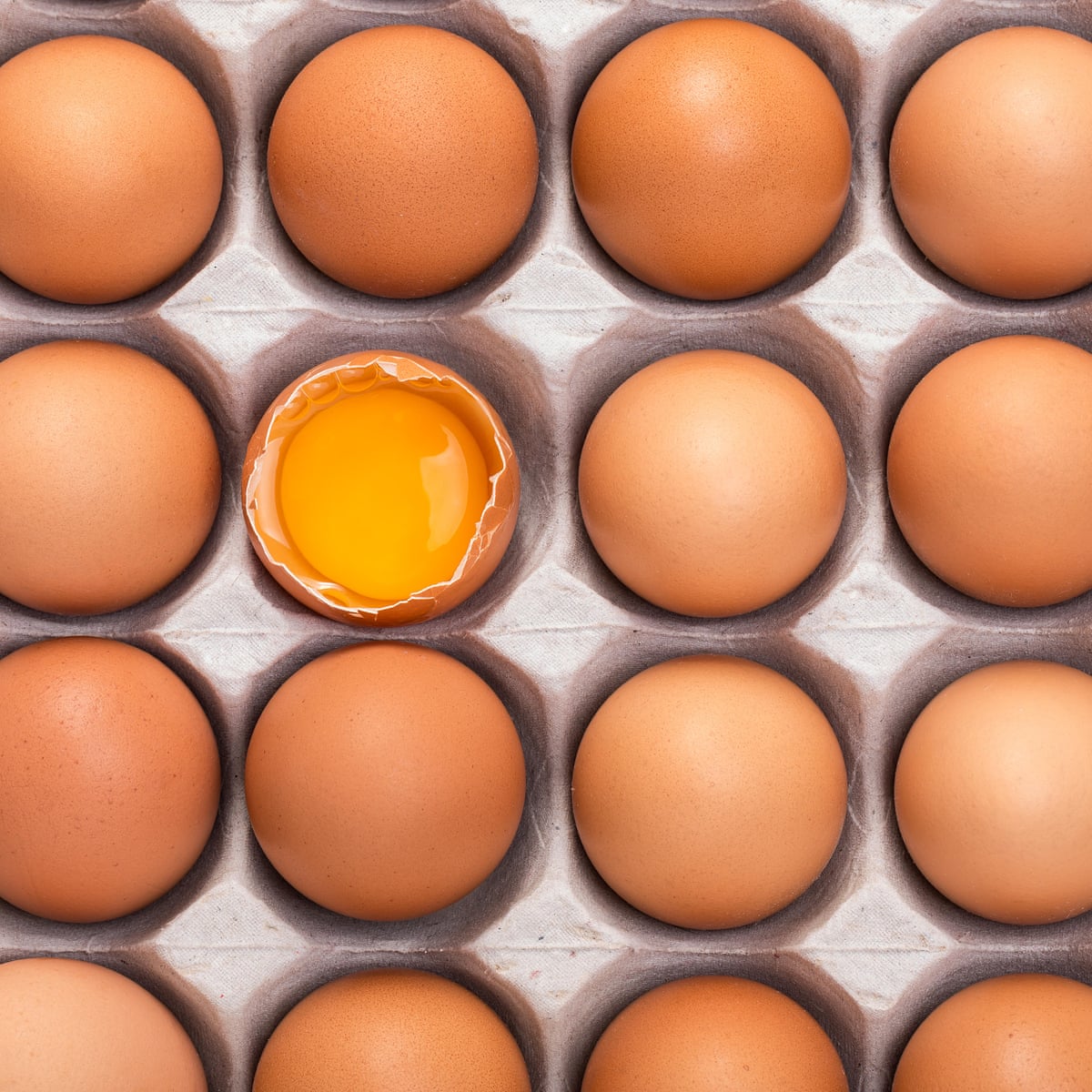 Protein Mania The Rich World S New Diet Obsession Food