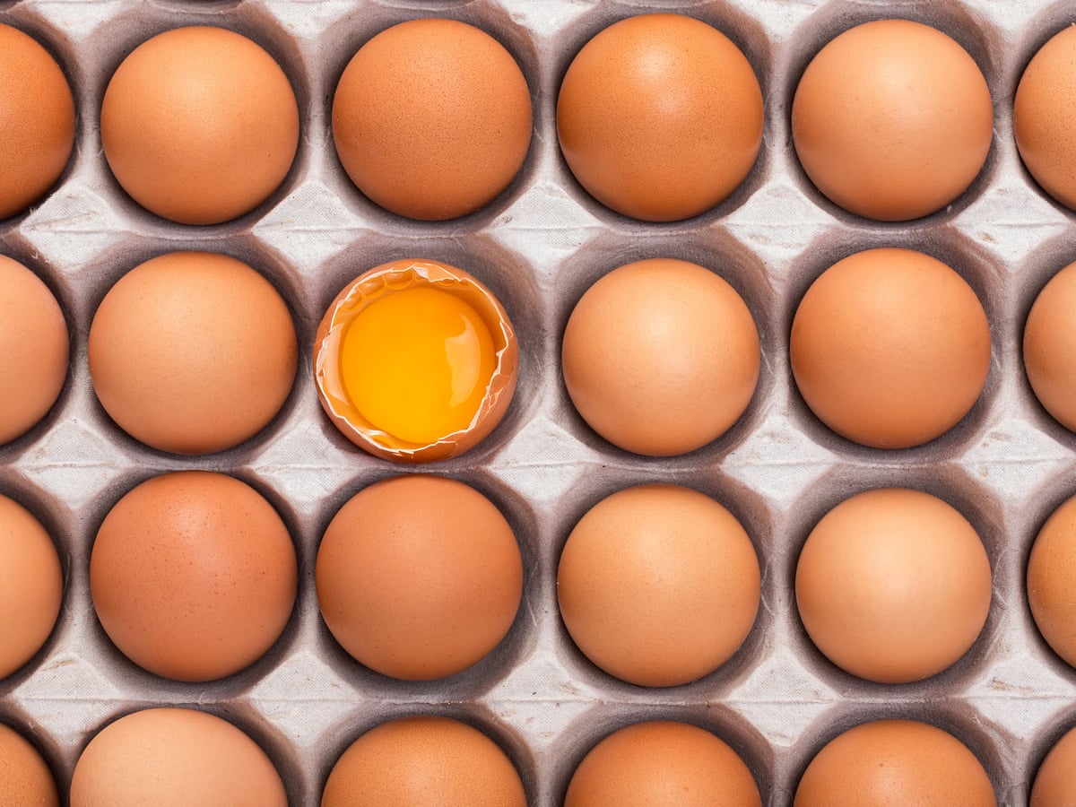 Protein Mania The Rich World S New Diet Obsession Food The Guardian Protein Mania The Rich World S New Diet Obsession Food The Guardian