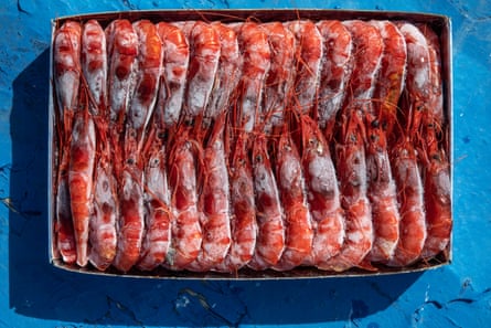 A one kilo case of red prawns frozen is sold for €50 to €70.