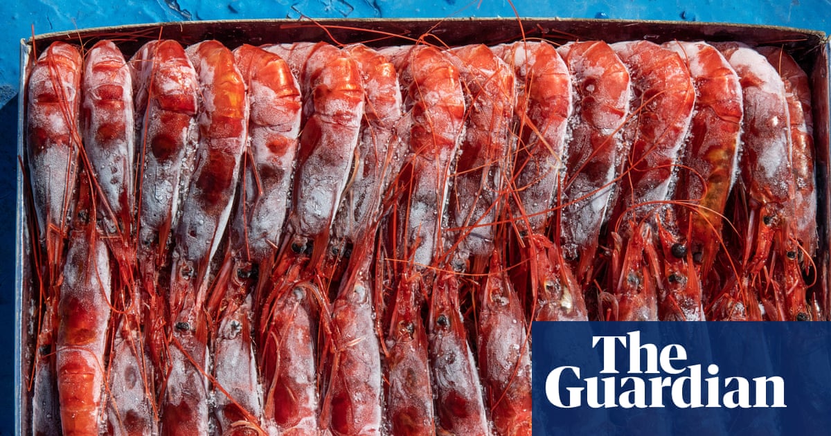 ‘Radioactive’ shrimp crisis: Indonesia grapples with contaminated industrial zone