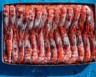 ‘Radioactive’ shrimp crisis: Indonesia grapples with contaminated industrial zone