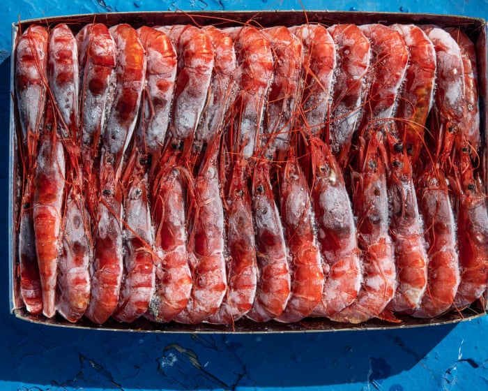 ‘Radioactive’ shrimp crisis: Indonesia grapples with contaminated industrial zone