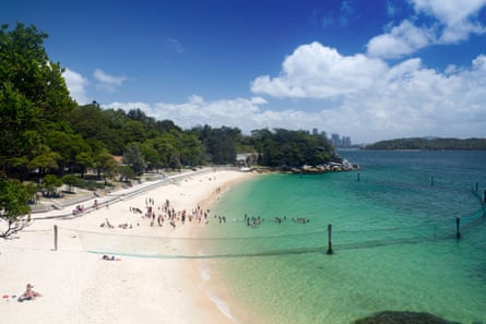 Real Time Shark Tracking Apps To Be Trialled At Australian Beaches Sharks The Guardian
