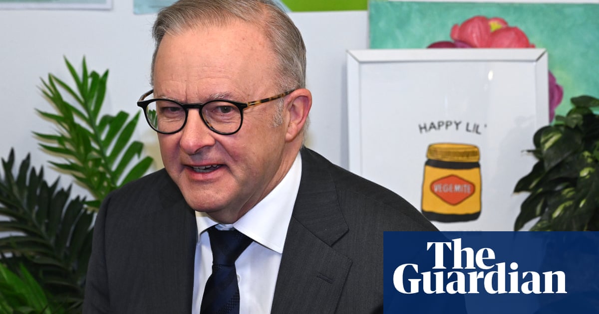 Albanese announces $1 billion mental health investment