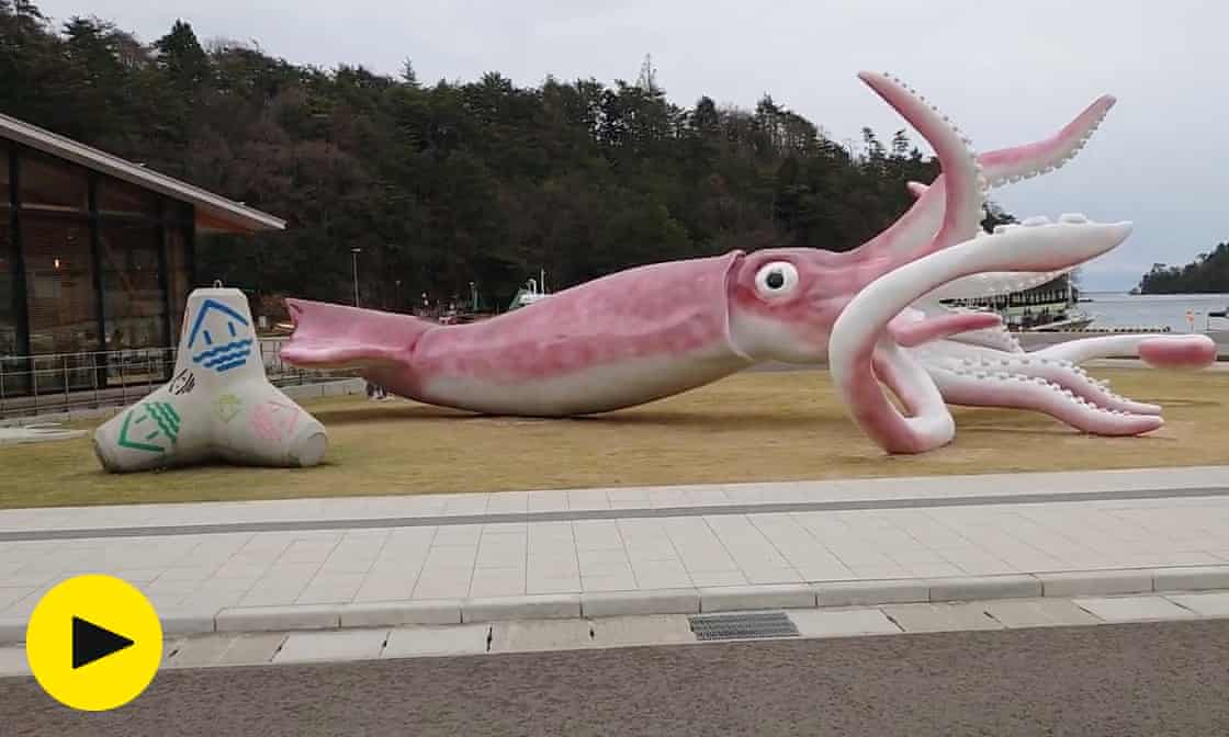 Japanese town spends Covid funds on 13-metre squid statue – video