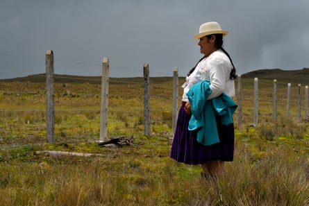 A woman standing in a field looks over a wire fence