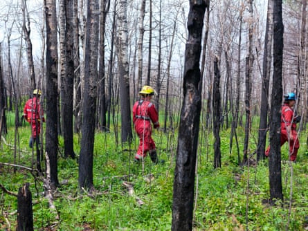 Members of Parkland county fire department Spencer Sutherley, Kyle Sherman and Andrew MacDonald monitoring for hot spots near the town of Entwistle, Alberta.