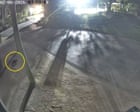 Where the devil is Mary? Search under way after Tasmanian marsupial escapes Gold Coast wildlife park