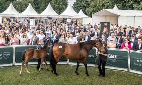 Owning a racehorse is the latest way for rich millennials to brag