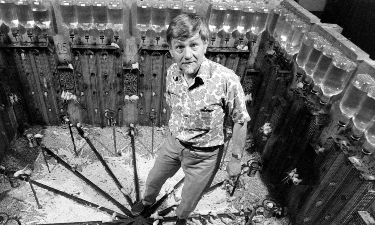 அய்யய்யோ அறிவியல் ஆய்வுகளும் நம்ம விருதுகளும்! | பிட்ச் டிராப் பரிசோதனை (Pitch Drop Experiment) | பிரபஞ்சம் 25 ஆய்வு (Universe 25 Experiment)