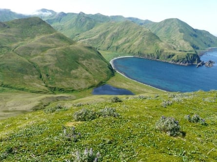 Green rolling hills on Amatignak